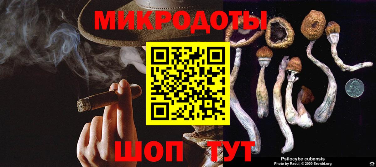 Псилоцибиновые грибы Psilocybe  Вход с VPN  Ханты-Мансийск 